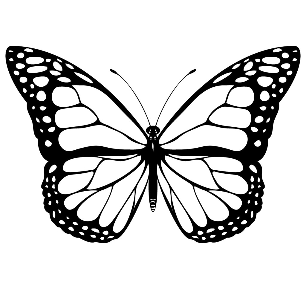 Monarch Butterfly Clip Art Free : Biological Science Picture Directory