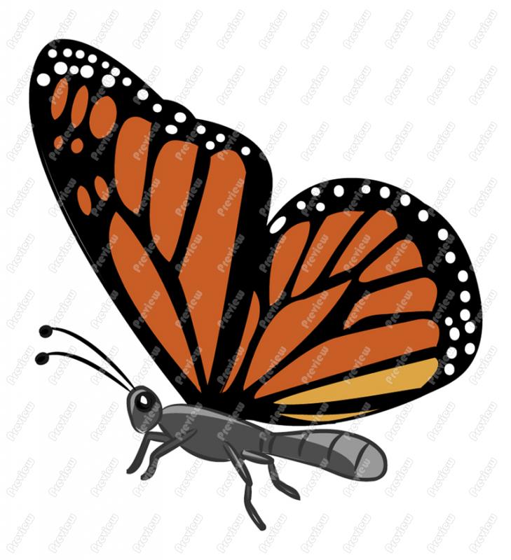 free clip art of monarch butterfly - photo #16