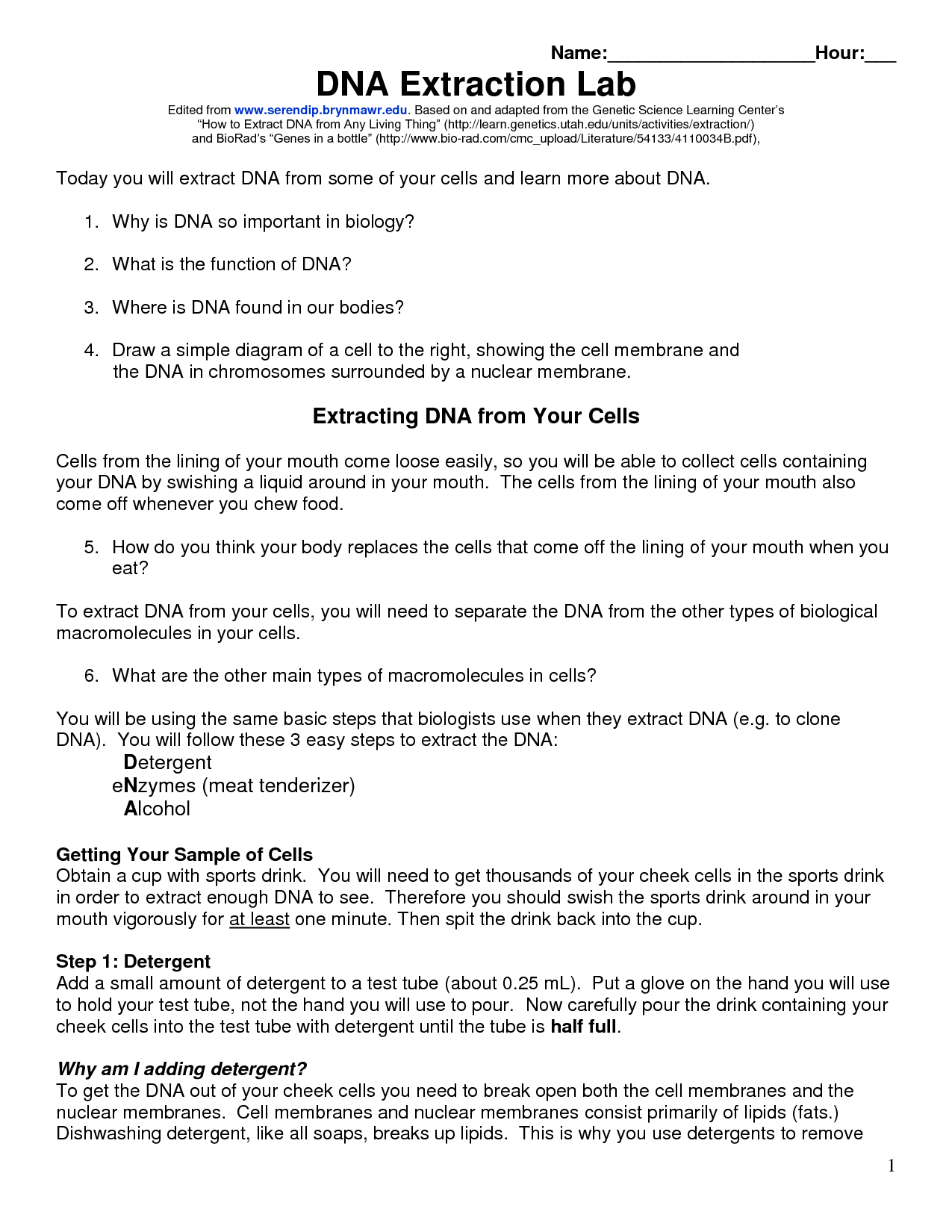 DNA Extraction Worksheet : 6 Why Is Dna Extraction Important