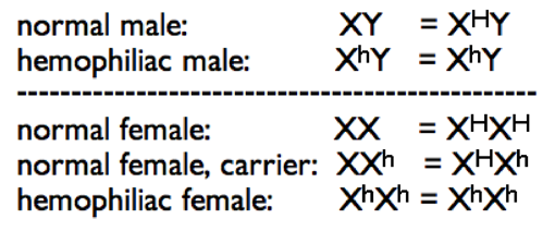 What Is The Genotype Of A Carrier For Hemophilia