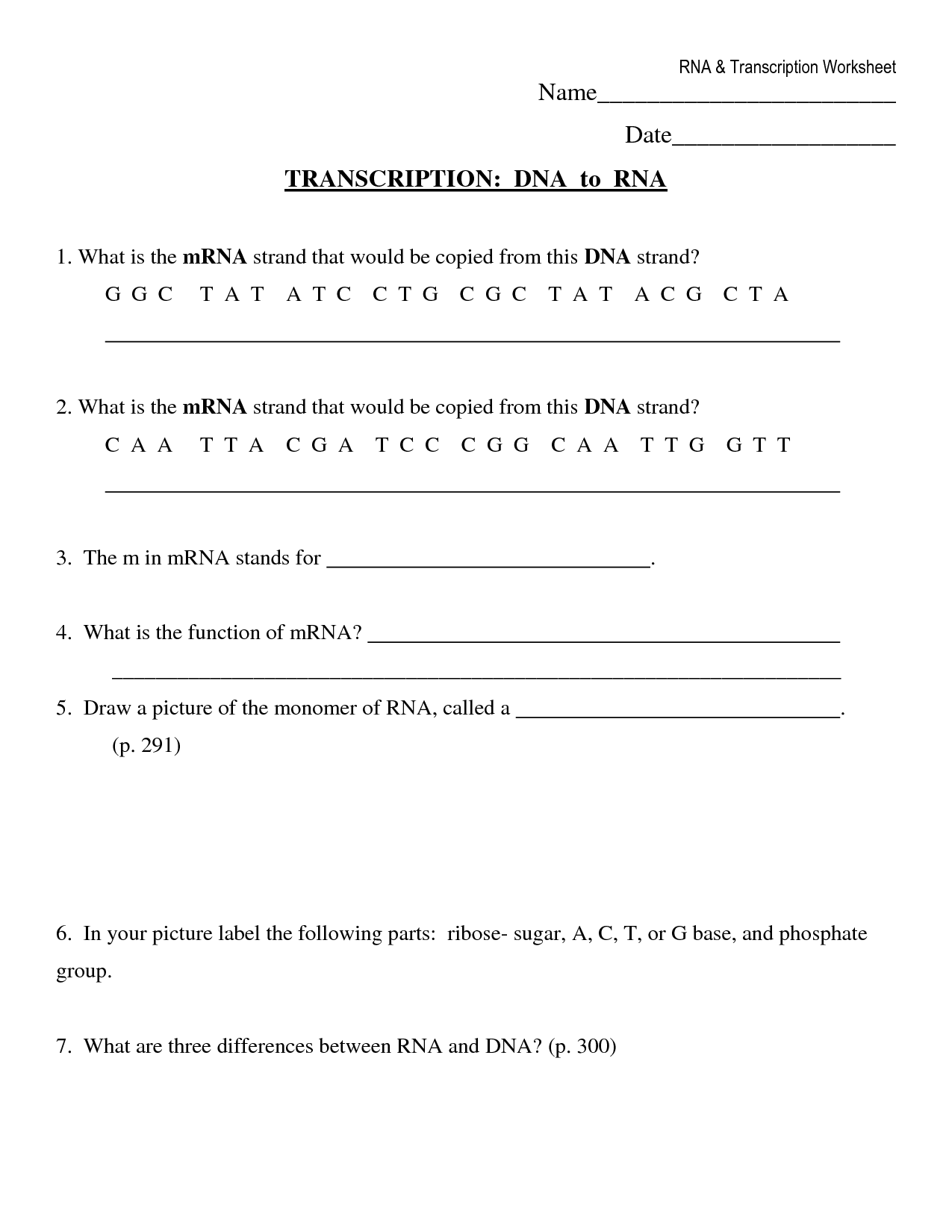 Dna And Rna Worksheet Answers