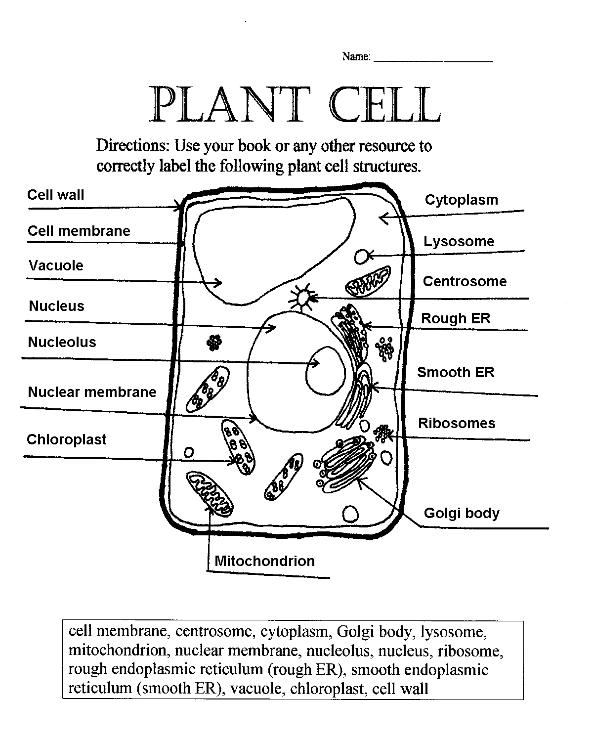 label-plant-cell-worksheet-1-biological-science-picture-directory