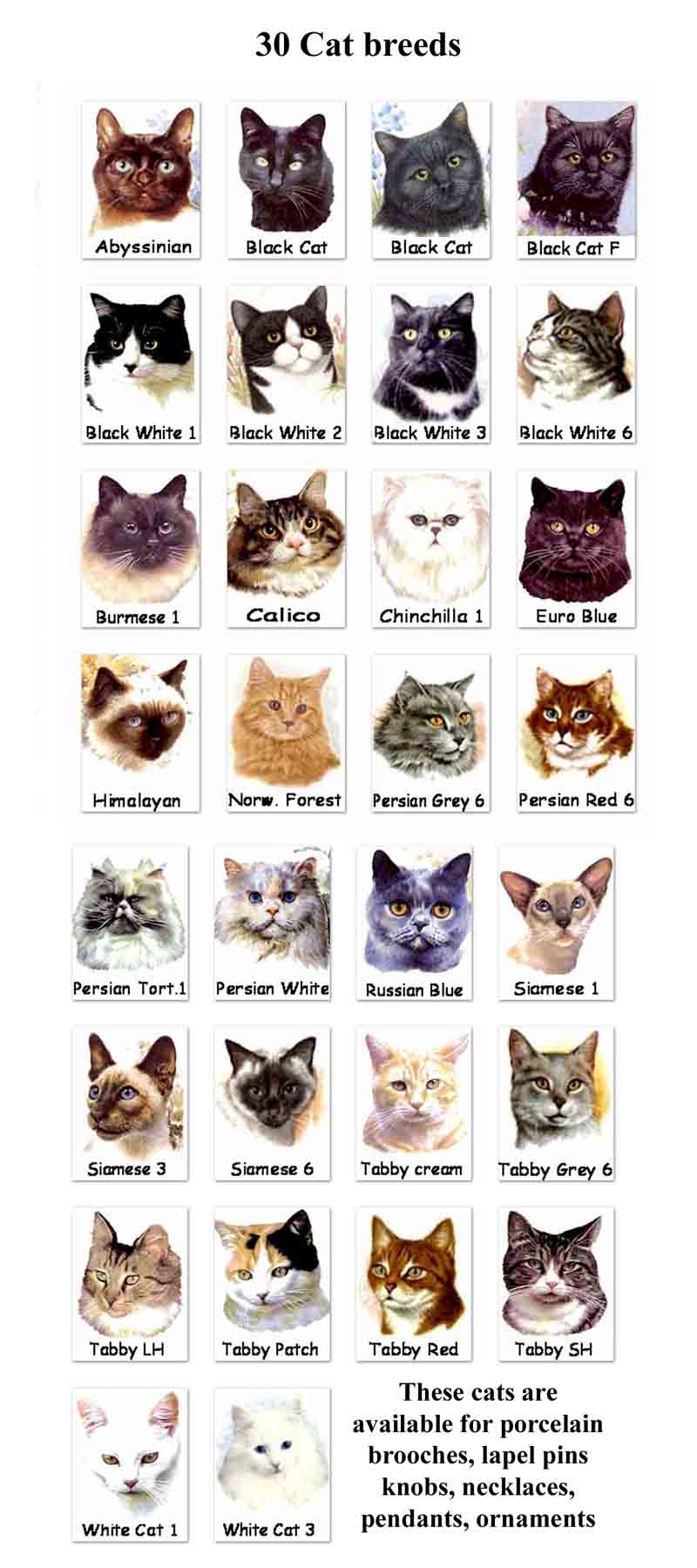 Cat Breeds : Biological Science Picture Directory – Pulpbits.net