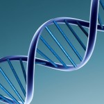 DNA Helix Wallpaper pictures , 6 Dna Helix Wallpaper In Cell Category