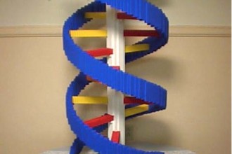 Dna Models Projects Double Helix , 6 Double Helix Dna Project In Cell Category