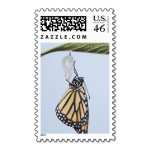 Monarch Butterflies Stamp  5 , 7 Monarch Butterflies Stamp In Butterfly Category