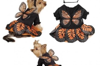 Monarch Butterfly Costumes For Dogs , 9 Monarch Butterfly Wings Costumes In Butterfly Category