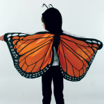 Monarch Butterfly Wings Costume , 9 Monarch Butterfly Wings Costumes In Butterfly Category