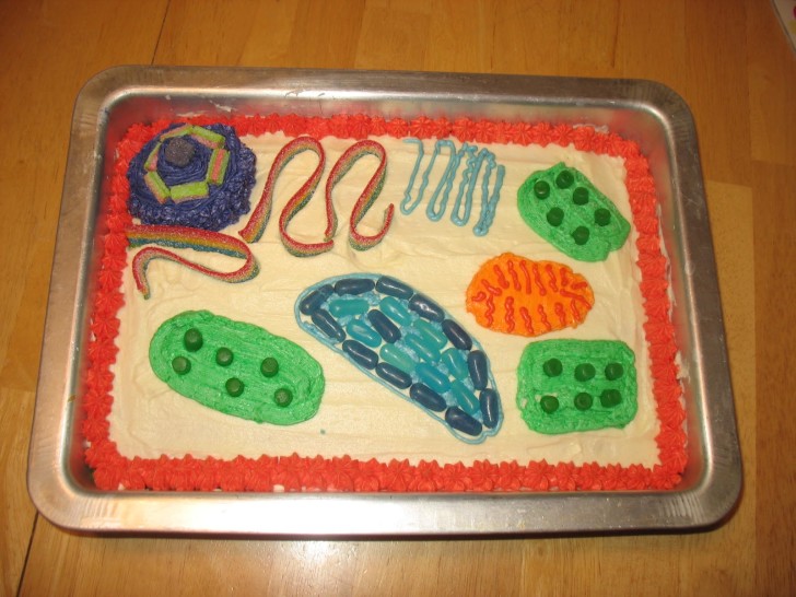 Cell , 5 Plant Cell 3d Project Ideas :  Plant Cell Project For Study