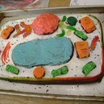 Plant Cell project ideas , 5 Plant Cell 3d Project Ideas In Cell Category