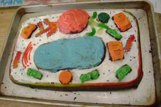 Plant Cell Project Ideas , 5 Plant Cell 3d Project Ideas In Cell Category