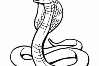 RainForest Snakes ColoringPages Picture , 7 Rainforest Animals Coloring Pages In Animal Category