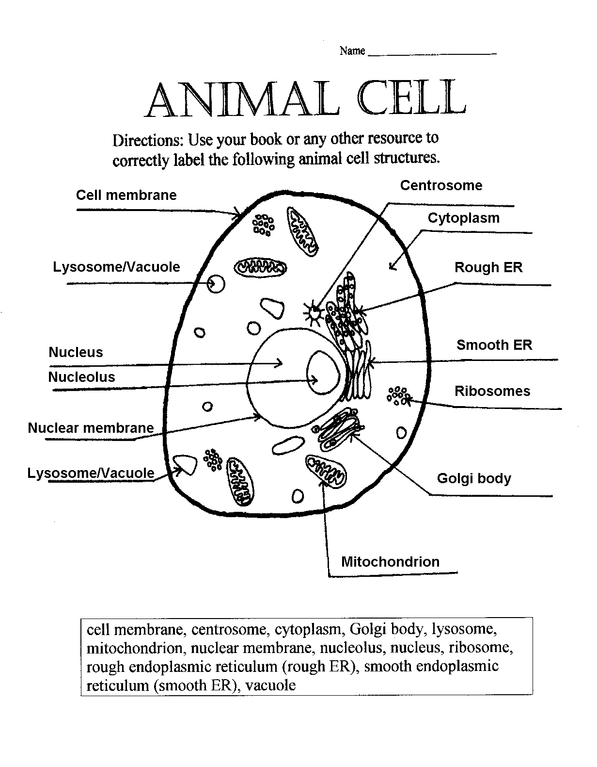 11 Label A Plant And Animal Cell - Label Design Ideas 11 In Animal Cells Worksheet Answers