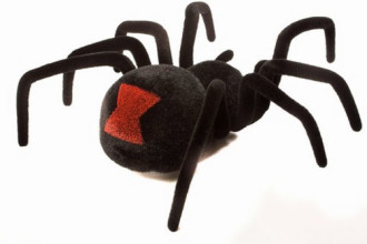 Black Widow Spider Facts For Kids Pic 3 , 6 Black Widow Spider Facts For Kids In Spider Category