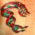 dna helix tattoo picture , 6 Dna Helix Tattoo In Cell Category