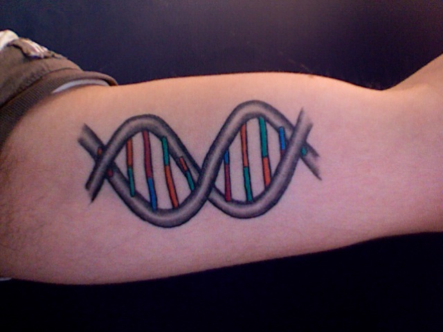 Cell , 6 Dna Helix Tattoo : Dna Tatto