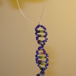 double helix dna model , 6 Double Helix Dna Project In Cell Category