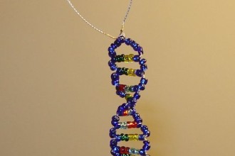 double helix dna model in Cell