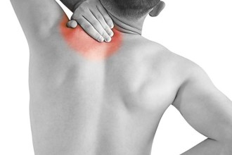 Muscle Pain In Back 2 , 8 Muscle Pain In Back In Muscles Category