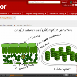 AP Biology Photosynthesis , 6 Online Ap Biology Course In Scientific data Category