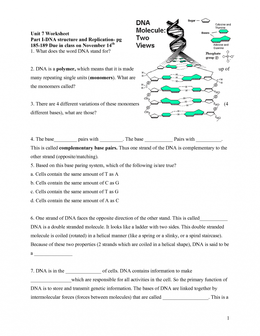 Answers to Rna Worksheet