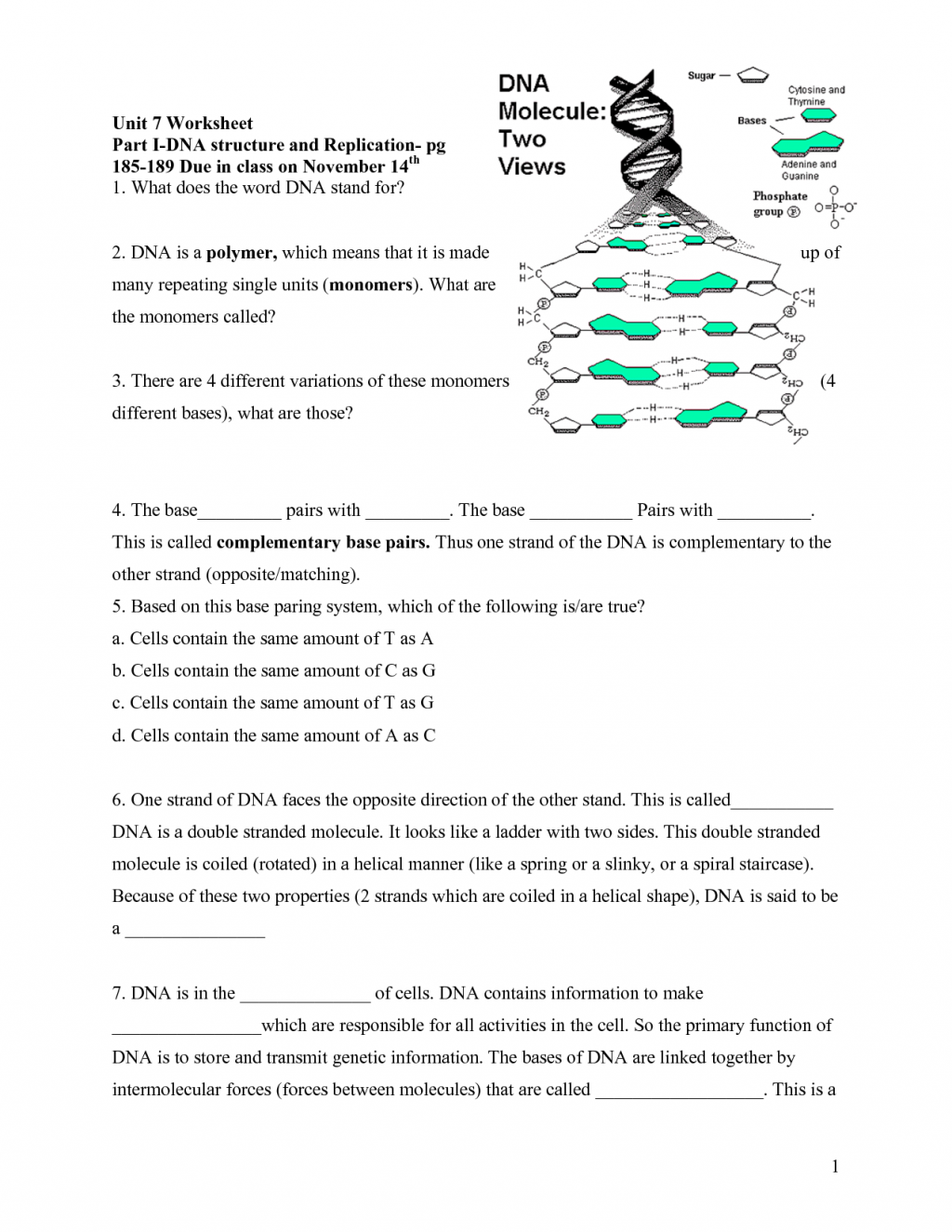 Dna And Rna Coloring Worksheet Pdf Answer Key