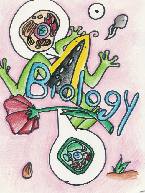 Scientific data , 7 Practice Biology Pages : Biology Title Page