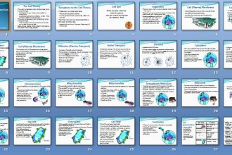 Cell Structure And Function PowerPoint Lesson , 6 Test On Cell Structure And Function In Cell Category