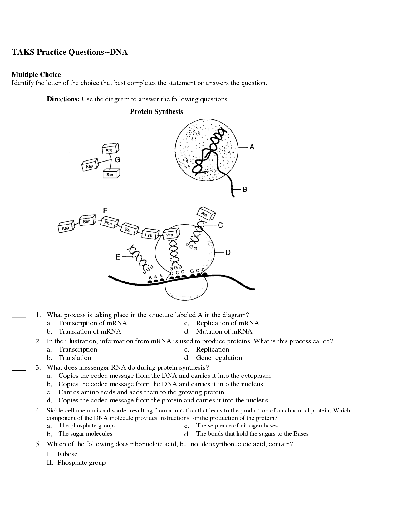 dna-practice-questions-biological-science-picture-directory