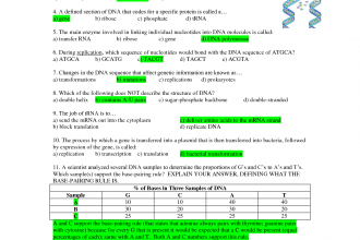 DNA, RNA, And Protein Synthesis TEST , 5 Protein Synthesis Quiz In Genetics Category