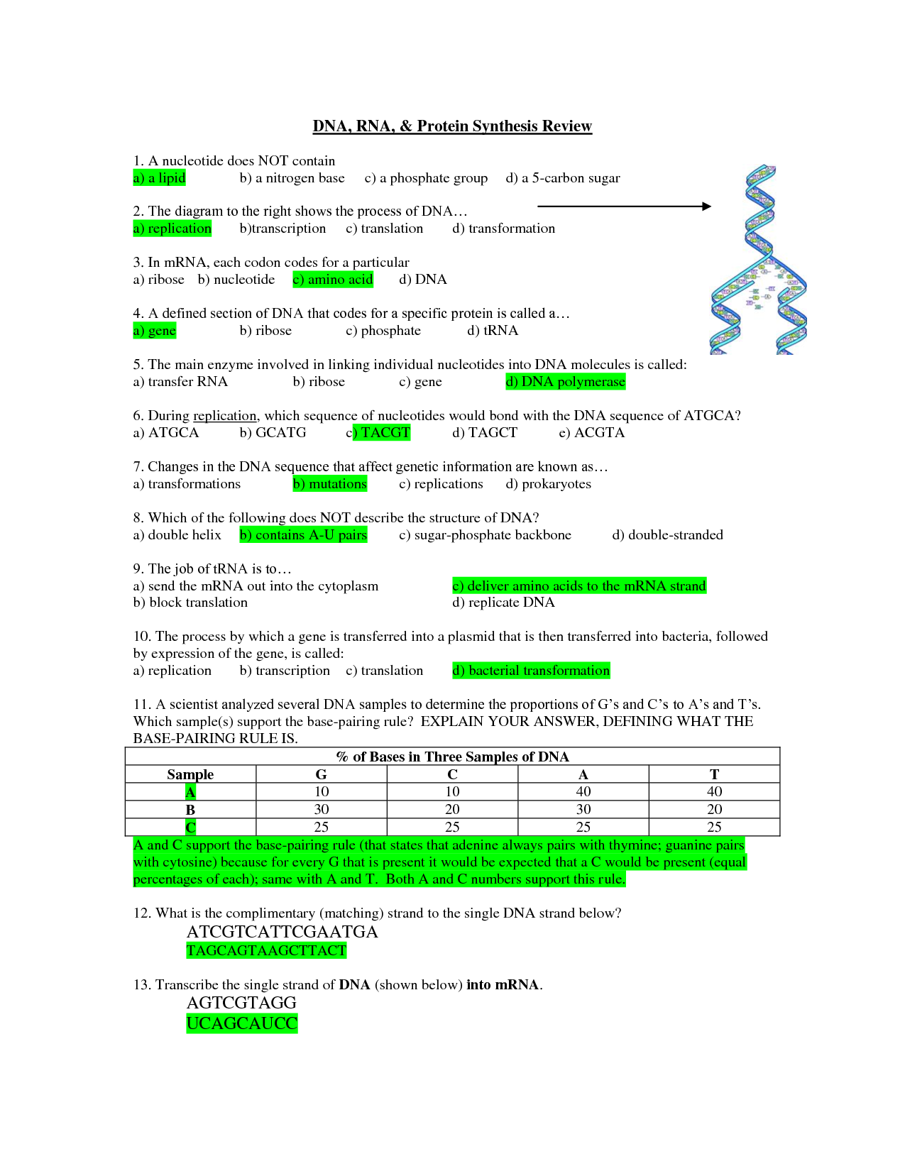 Dna And Rna Practice Worksheet Answers