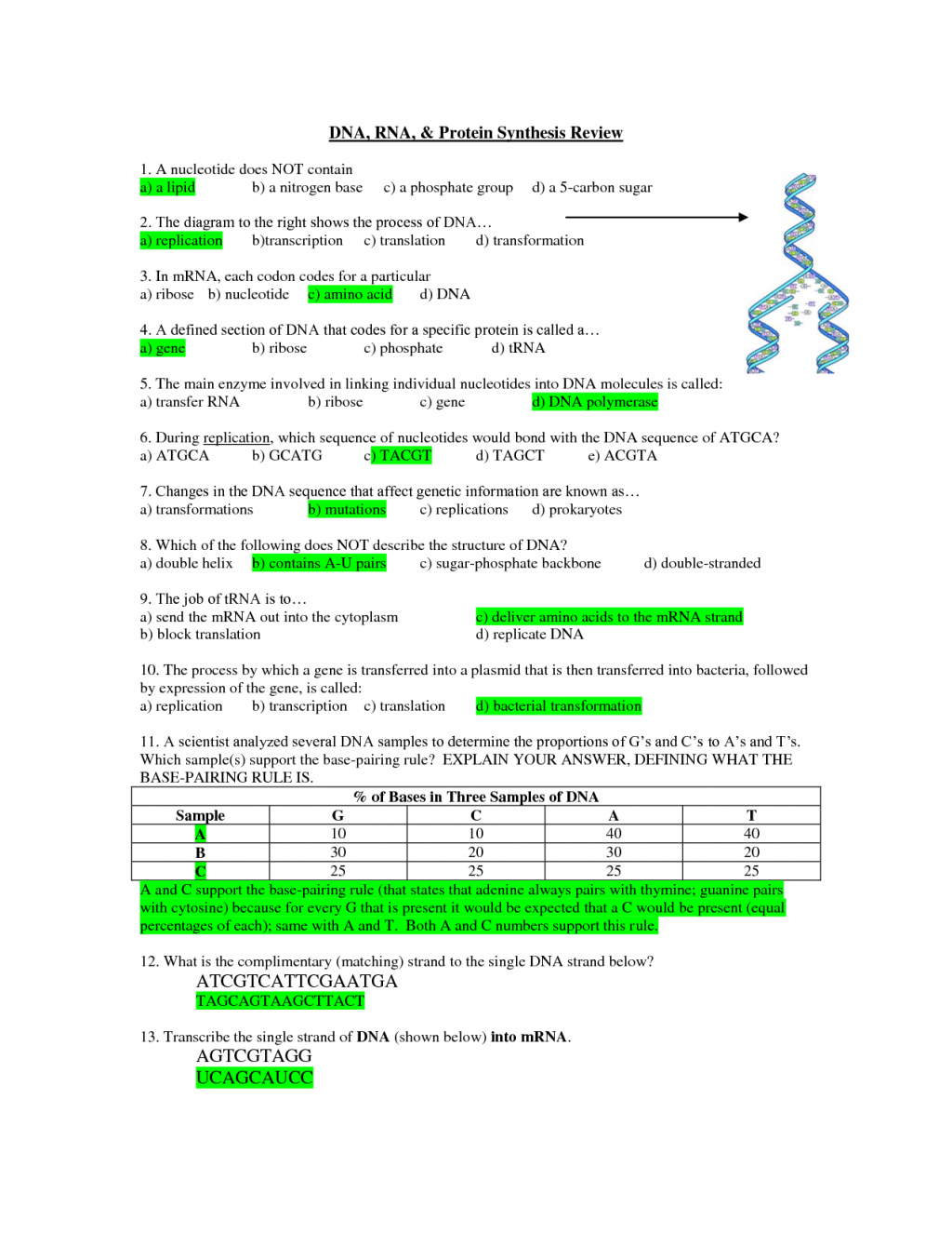 Worksheet Dna Rna And Protein Synthesis Key