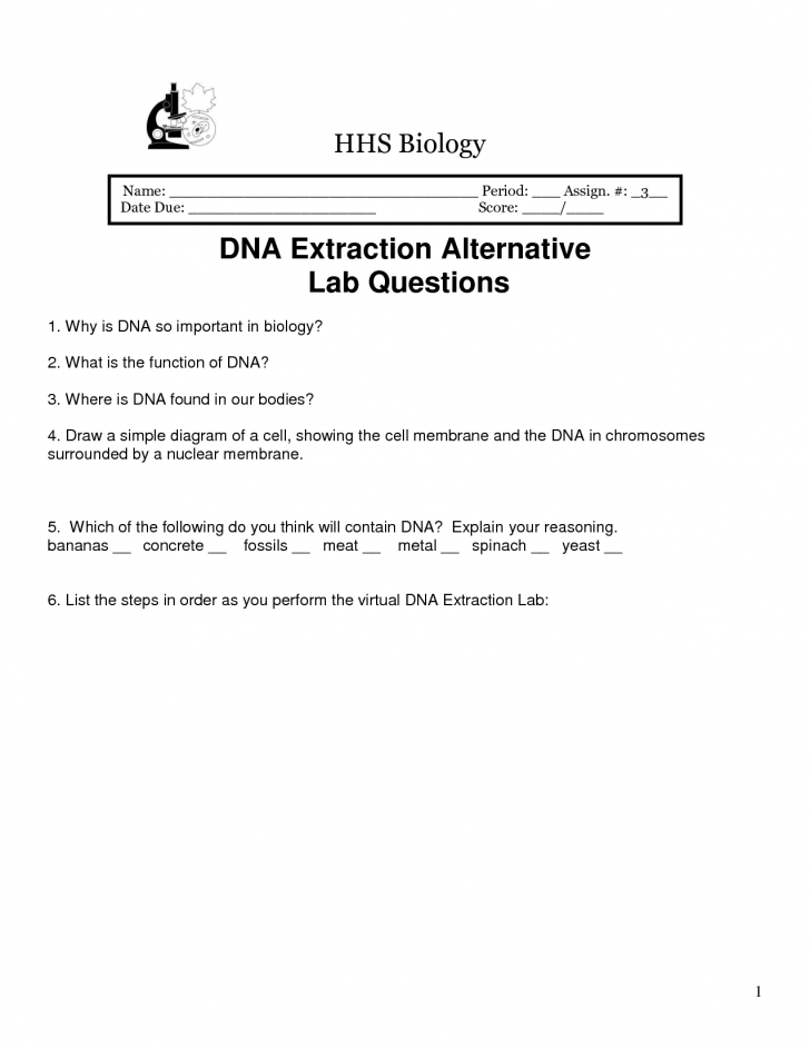 Genetics , 6 Why Is Dna Extraction Important : DNA Extraction