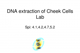 DNA Extraction Of Cheek Cells Lab , 6 Why Is Dna Extraction Important In Genetics Category