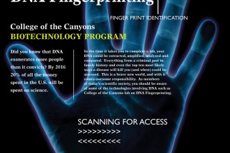 DNA Fingerprinting Project Ideas , 5 Dna Fingerprinting Nova In Genetics Category