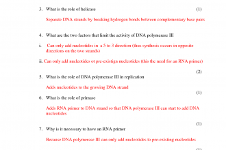 DNA Replication Quizzes , 7 Dna Synthesis Quiz In Genetics Category
