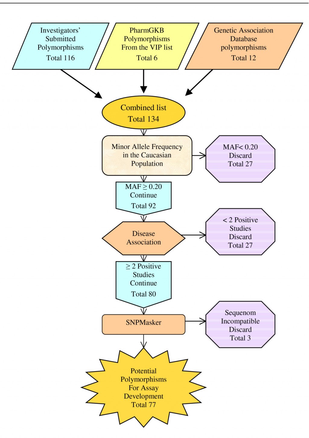 dna-fingerprinting-steps-biological-science-picture-directory