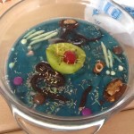 Edible Cell , 5 Edible Plant Cell Project Ideas In Cell Category