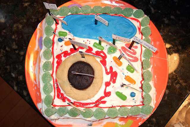 Cell , 5 Edible Plant Cell Project Ideas : Edible Cell Project