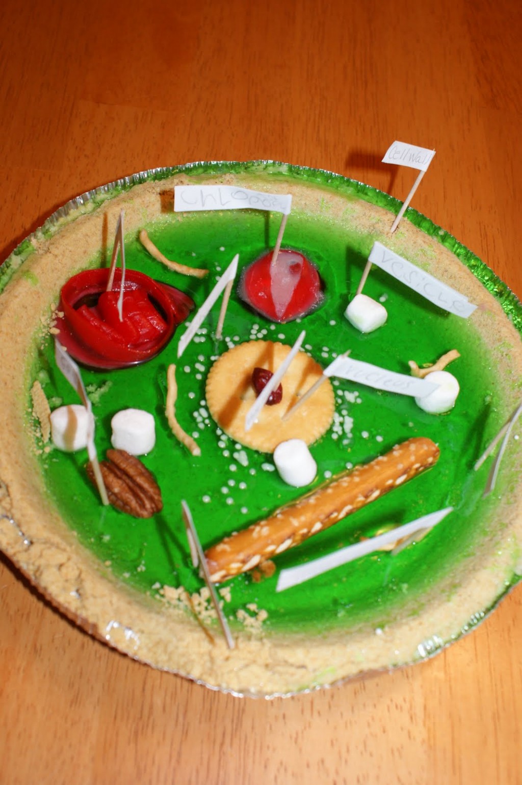 Edible Plant Cell