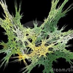 Fractal synapses desktop wallpaper , 5 Brains Synapse Neurons Wallpaper In Brain Category