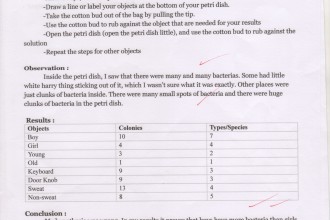 Scientific data , 6 Lab Report Title Pages : Lab Report on Bacteria Experiment