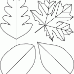 Leaf Template Printout , 6 Leaf Printable Template In Plants Category