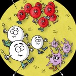 Learn about Blood for kids , 4 Blood Cells For Kids In Cell Category