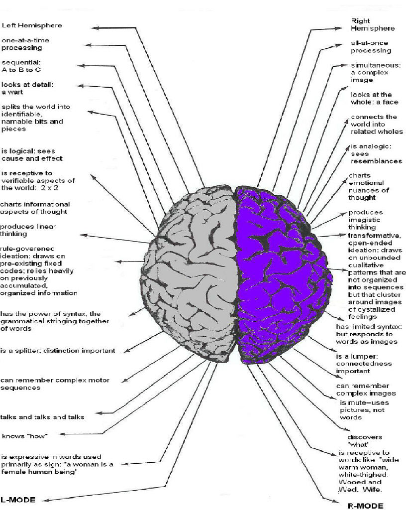 Left Brain Right Brain Characteristics Chart