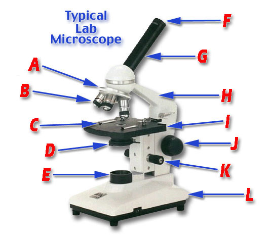 Cell , 5 Parts Of The Microscope Quiz : Microscope Parts Quiz