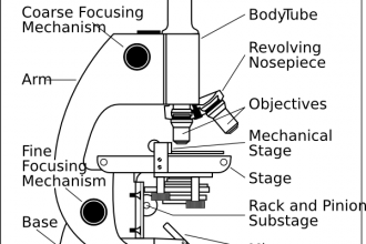 Microscope With Labels Clip Art , 5 Labeled Parts Of A Microscope In Cell Category