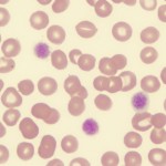 Platelet Function Testing , 8 Platelets Science Photo In Cell Category
