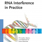 RNA Interference in Practice , 7 Rna Quiz In Cell Category