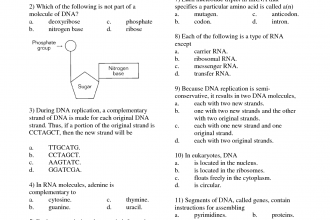 RNA Work Template , 6 Rna Worksheet In Genetics Category